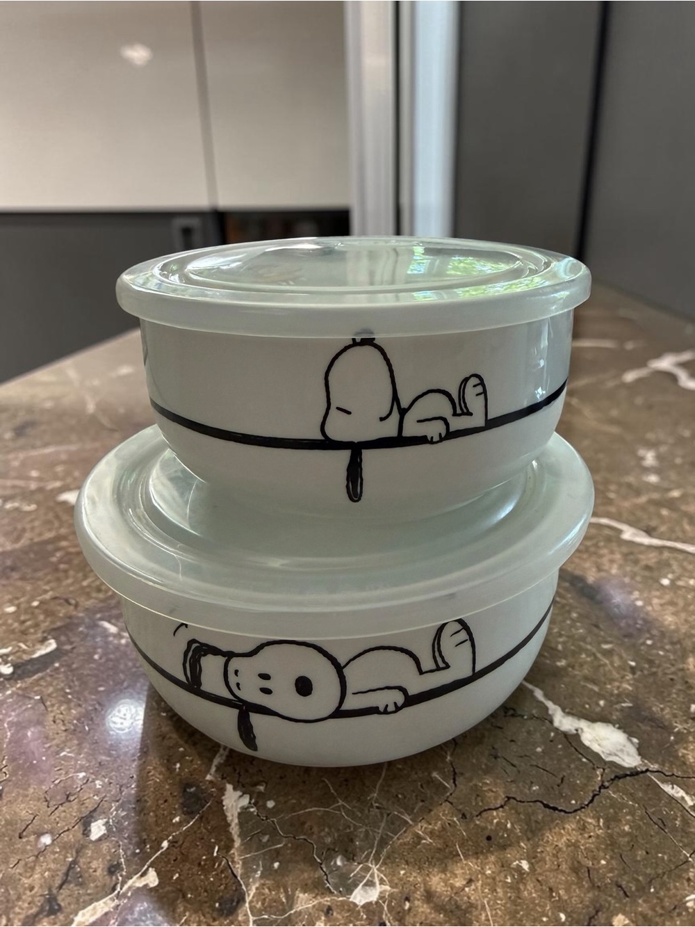 Peanuts Snoopy Ceramic Storage Bowls Set 2 Vacuum Lid Charlie Brown Zrike